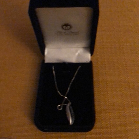 Necklace- never worn